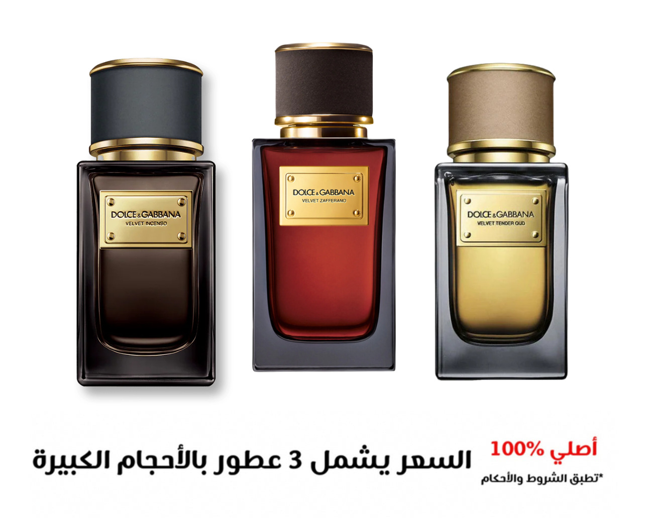 Dolce Gabbana مجموعة عطور
